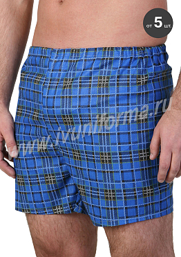 Трусы мужские бязевые арт. ТР-19-01-БЗ